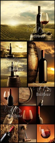 In vino veritas /    - , , 