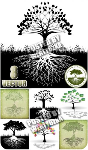   , ,  / Tree with roots - stock vector